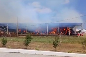В Курской области горело более 3 тысяч тонн сена