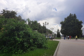 В Курске появится обновленная пешеходная улица Ленина
