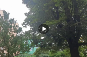 В Курской области объявлена ракетная опасность!