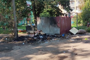 Ночью в Курске вновь подожгли мусорный бак