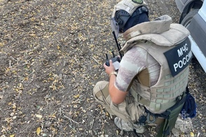 В Курской области обезврежено 103 суббоеприпаса кассетной ракеты Хаймарс