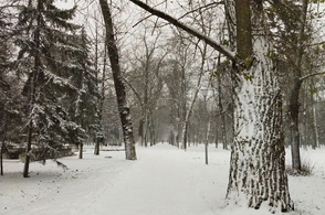 В Курской области строят горнолыжный комплекс