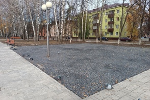 Куряне обеспокоены вырубкой деревьев в парке Рокоссовского