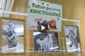 В Курске подвели итоги детского экологического конкурса