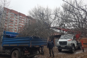 В Курске снесли тысячи аварийных деревьев