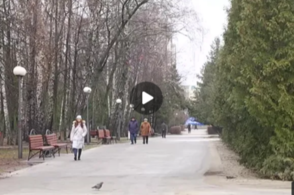 Куряне сталкиваются с трудностями получения льготных лекарств