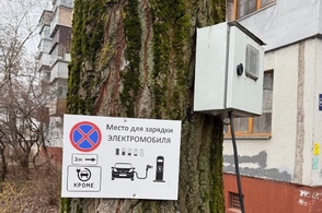 Курянин установил электрощиток на дереве для зарядки автомобиля