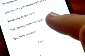 За прошедший год куряне перевели мошенникам почти 1 миллиард рублей