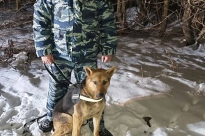 В Курской области стражи порядка нашли потерявшегося жителя д. Николаевки