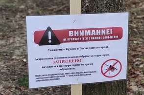 Курян предупреждают о клещах