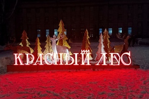 Курские ели из &laquo;Красного леса&raquo; высадят в Цветовом лесу