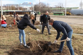 В Курске высадили еще один фруктовый сад