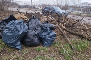 В Курске проходит масштабный субботник