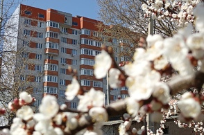 В Курске молодые семьи могут получить выплаты на жилье