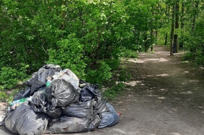 В Курске на проспекте Дружбы после субботника остался мусор