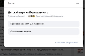 Большинство курян не хотят менять название Детскому парку
