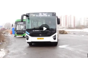 Куряне оценили новые автобусы, вышедшие на дороги города