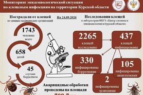В Курской области зафиксировано 45 случаев клещевого боррелиоза