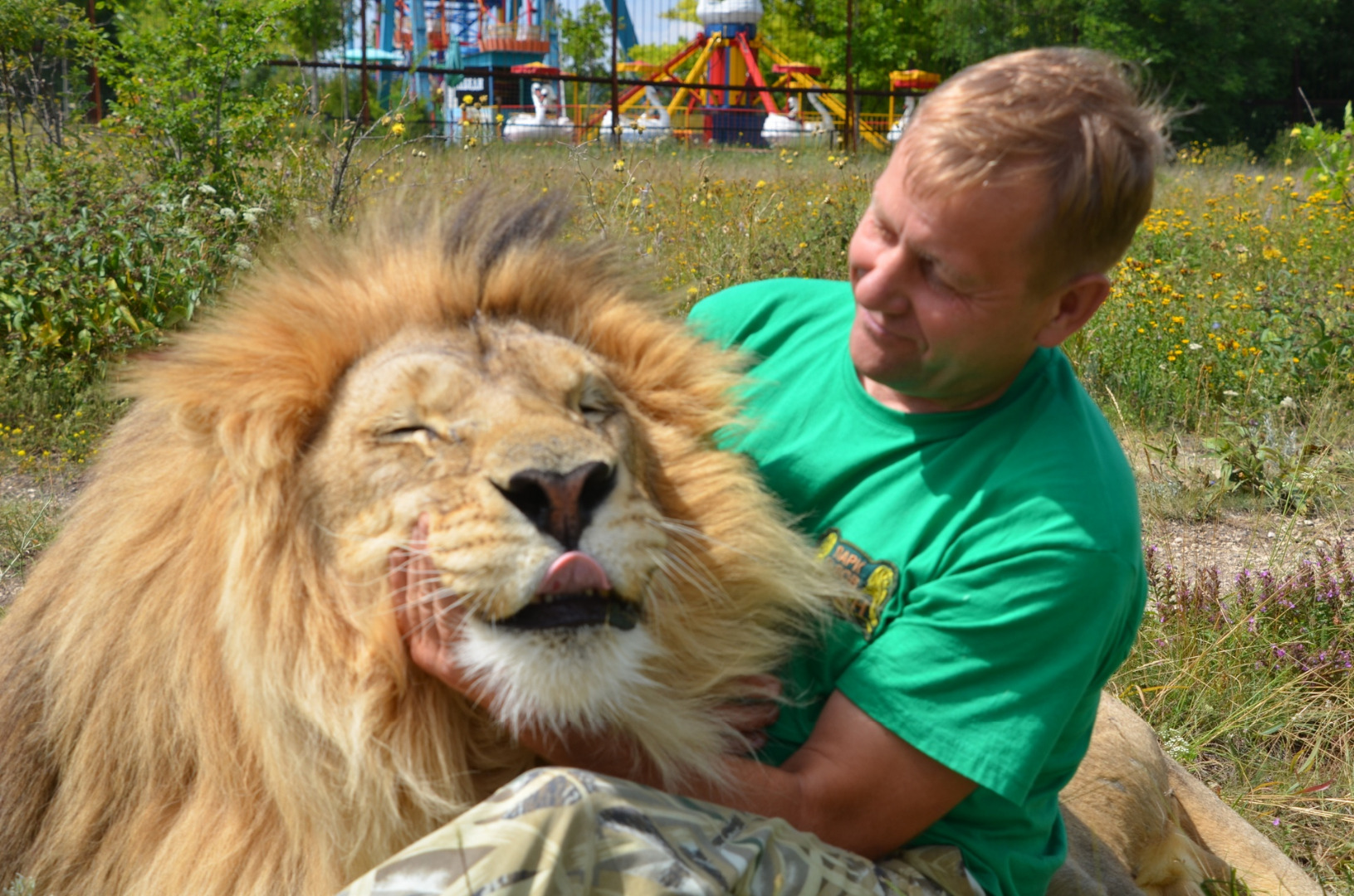 Укрощать льва. Тайган сафари парк в Крыму. Парк Львов Тайган.