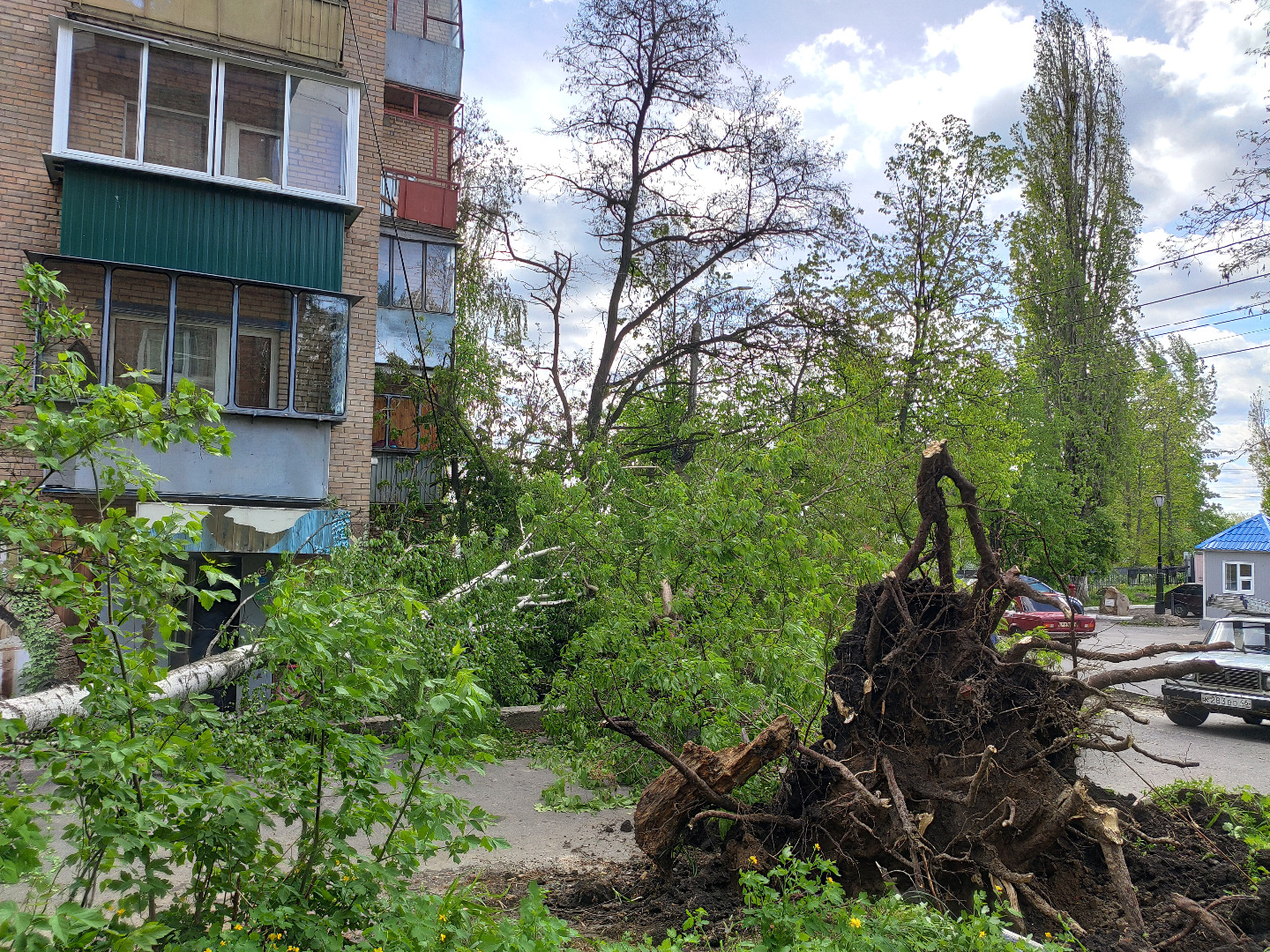 Куряне остались без света, интернета и газа после урагана | 13.05.2022 |  Курск - БезФормата