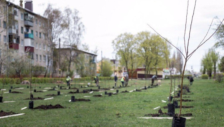 В Курске благоустроят  сквер на улице Республиканской