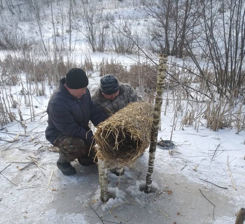 В Курской области оборудовали 150 искусственных гнёзд для водоплавающих птиц