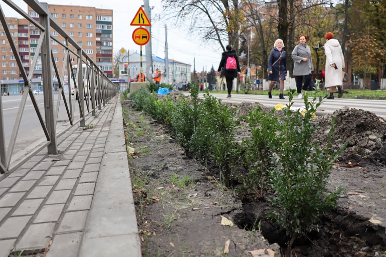 На площади Перекальского в Курске начали высаживать живую изгородь