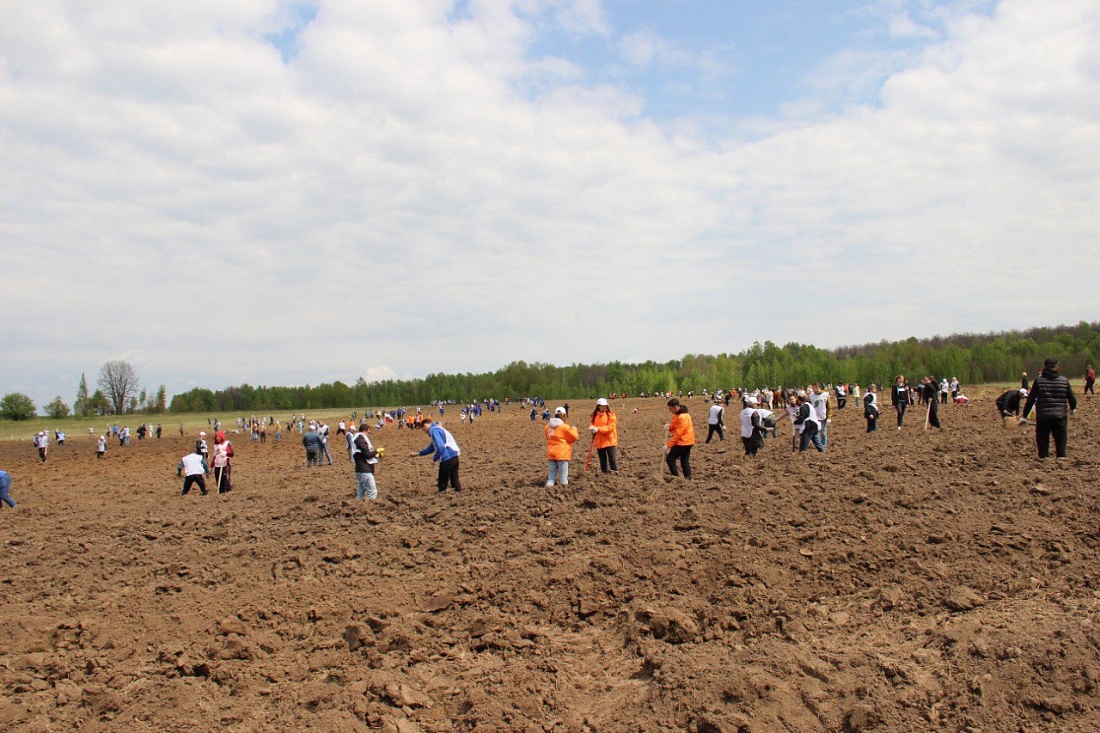 В Курской области пройдет акция «Сад Памяти»