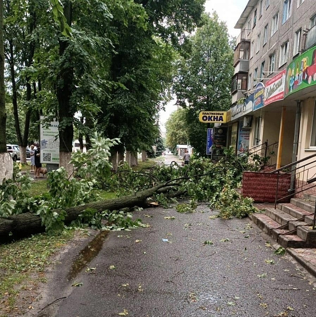 В Курской области устраняют последствия урагана
