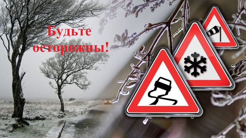 Курян предупреждают о мокром снеге 17 ноября