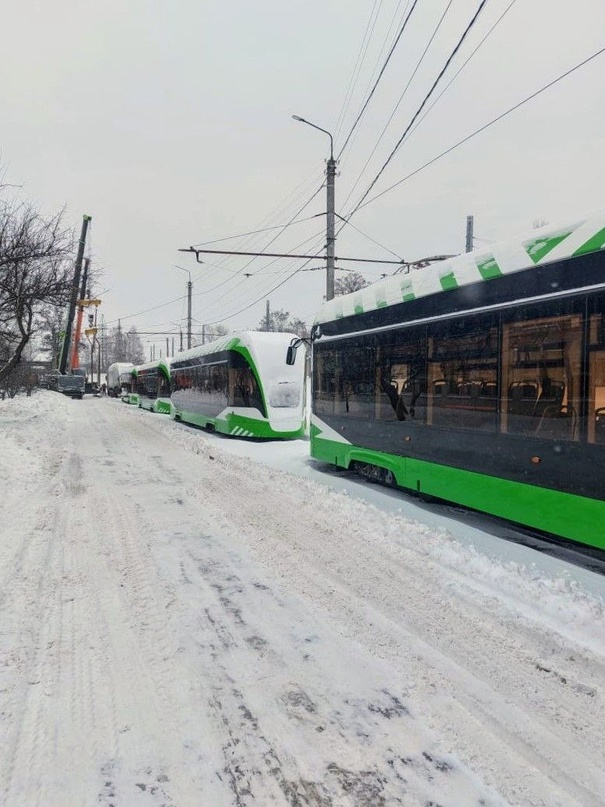 В Курск прибыли еще четыре низкопольных «Львенка»