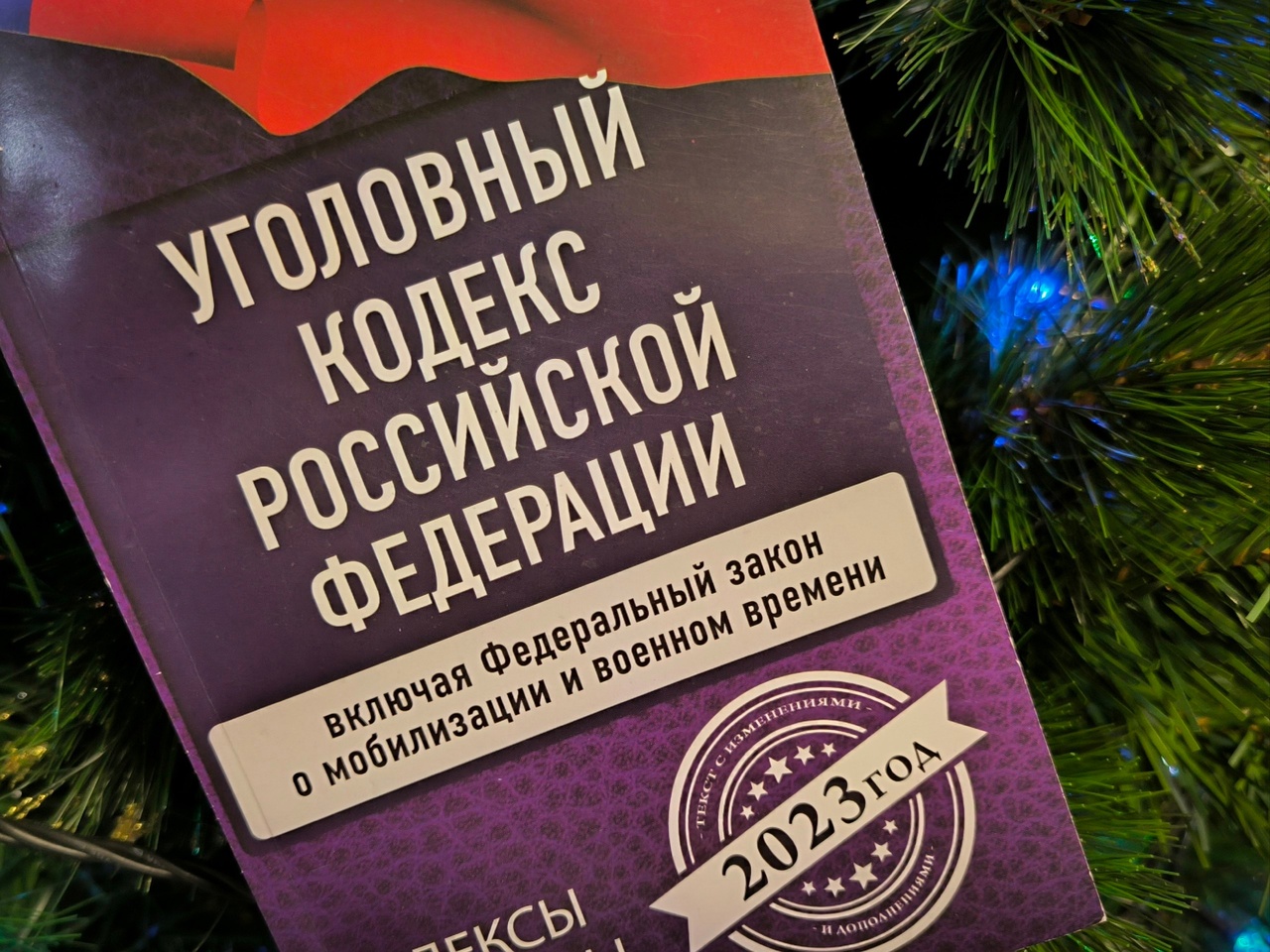 В Курской области мужчина до смерти избил сожительницу