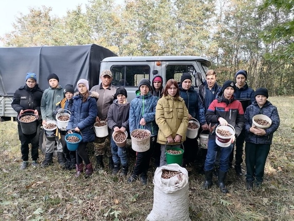 Курская область выполнила план по заготовке семян