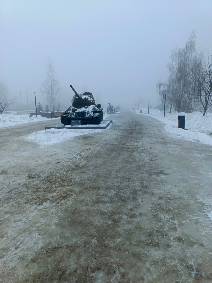 В Курске на проспекте Победы плохо чистят парк «Патриот»