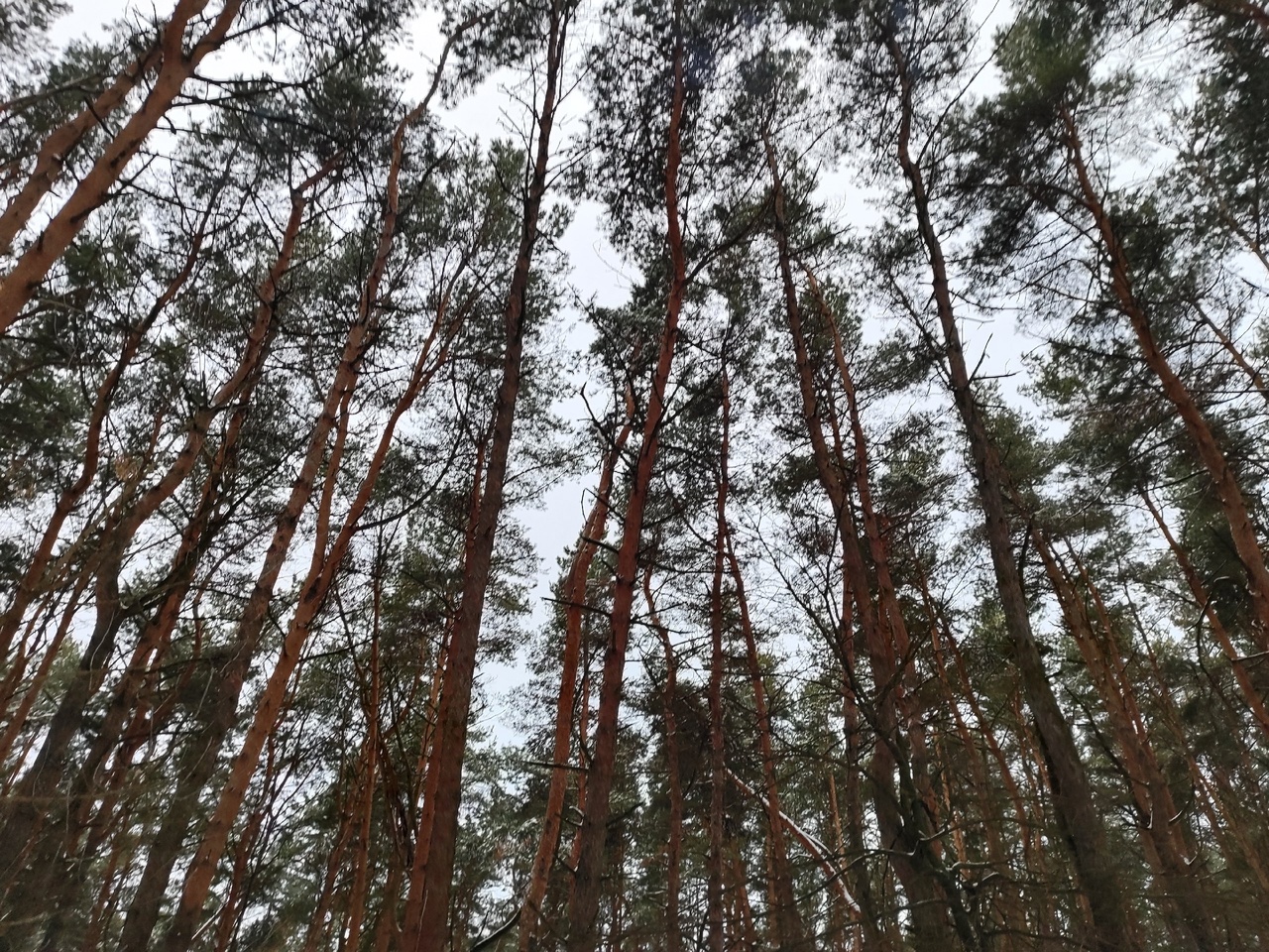 Курян приглашают на бесплатную обзорную экскурсию