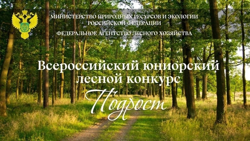 В Курской области подведены итоги регионального этапа Всероссийского юниорского лесного конкурса «Подрост»