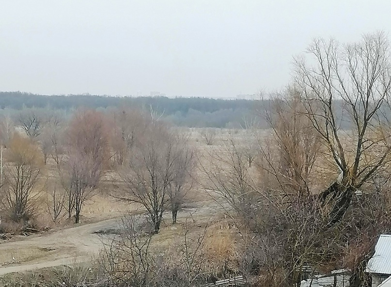 Следующая неделя в Курске начнётся с обильных осадков