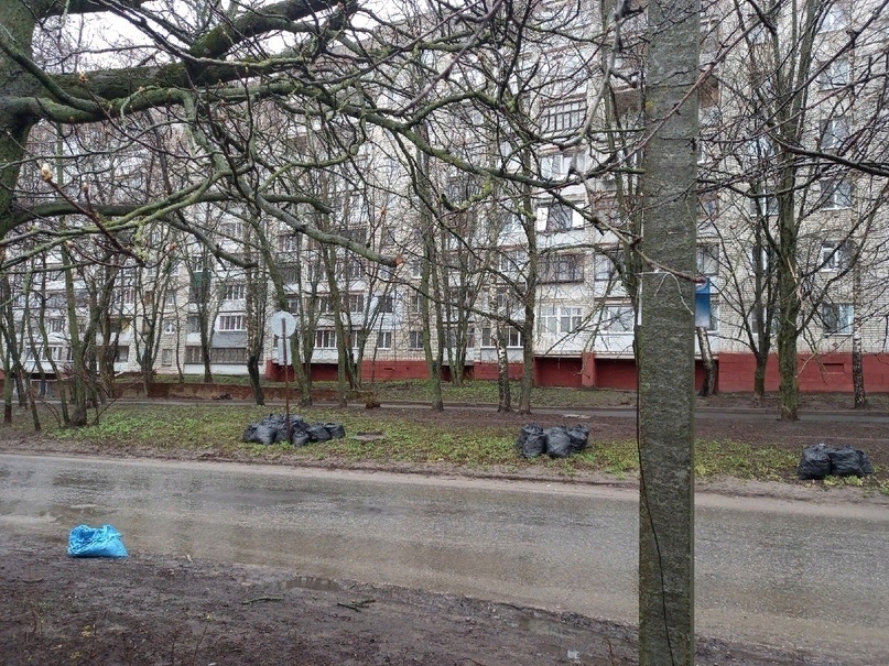 В Курской области субботники пройдут в грядущие выходные