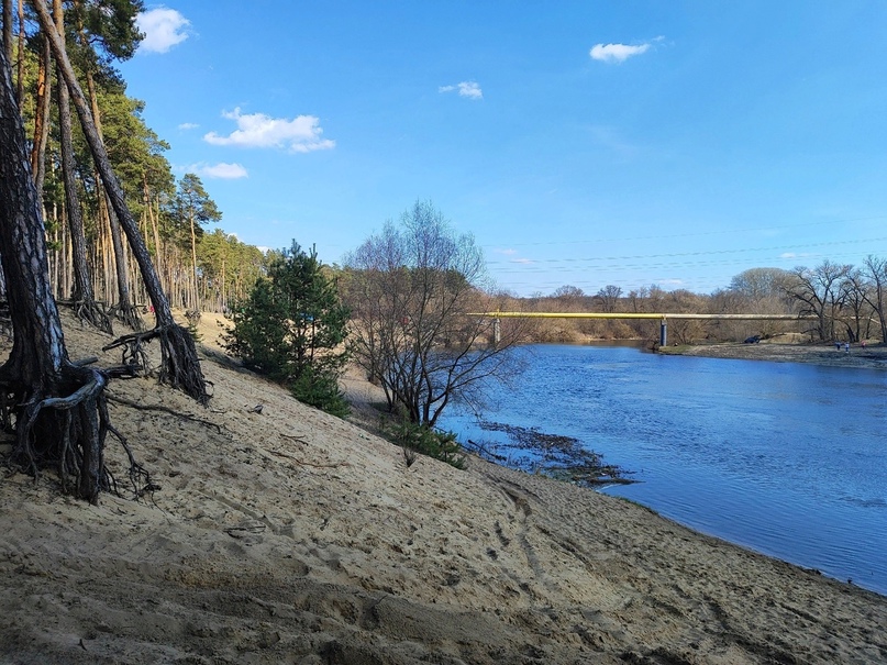 В Курской области на водоемах начался нерест