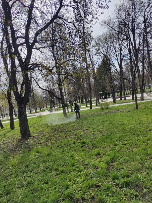 В Курске 10 и 11 апреля продолжат обрабатывать парки от клещей