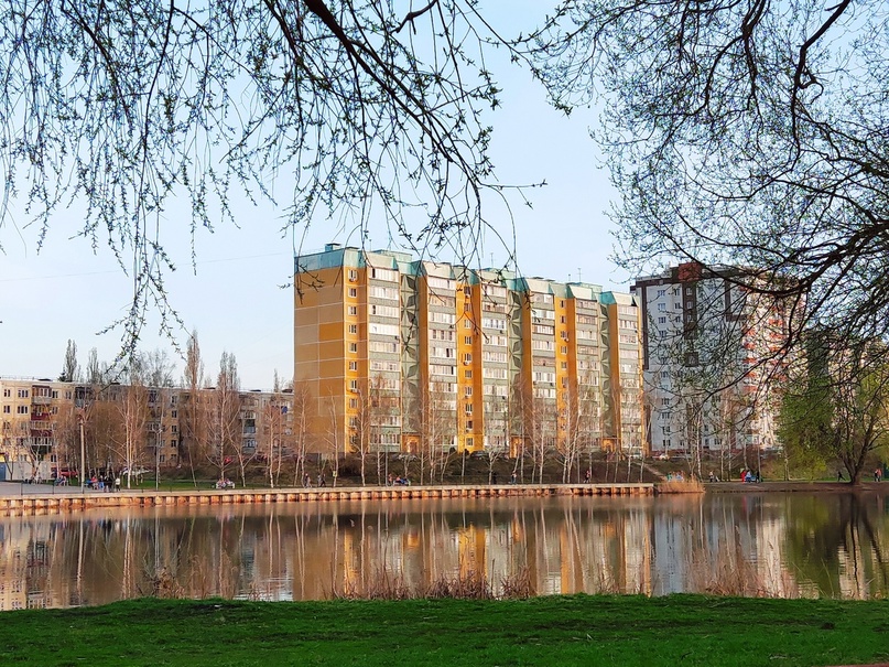 Курян кусают заразные клещи