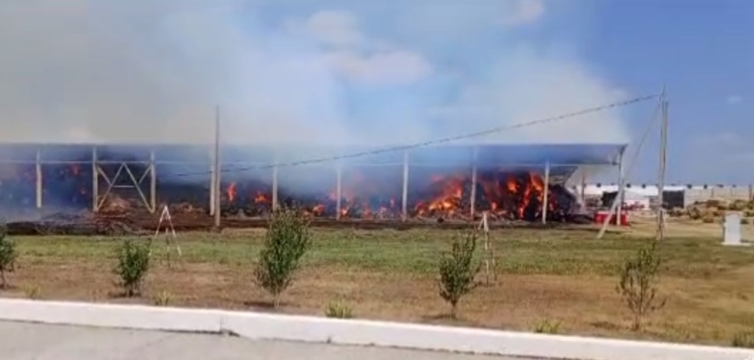 В Курской области горело более 3 тысяч тонн сена