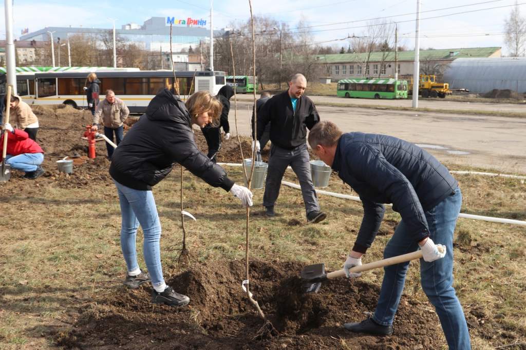 В Курске высадили еще один фруктовый сад