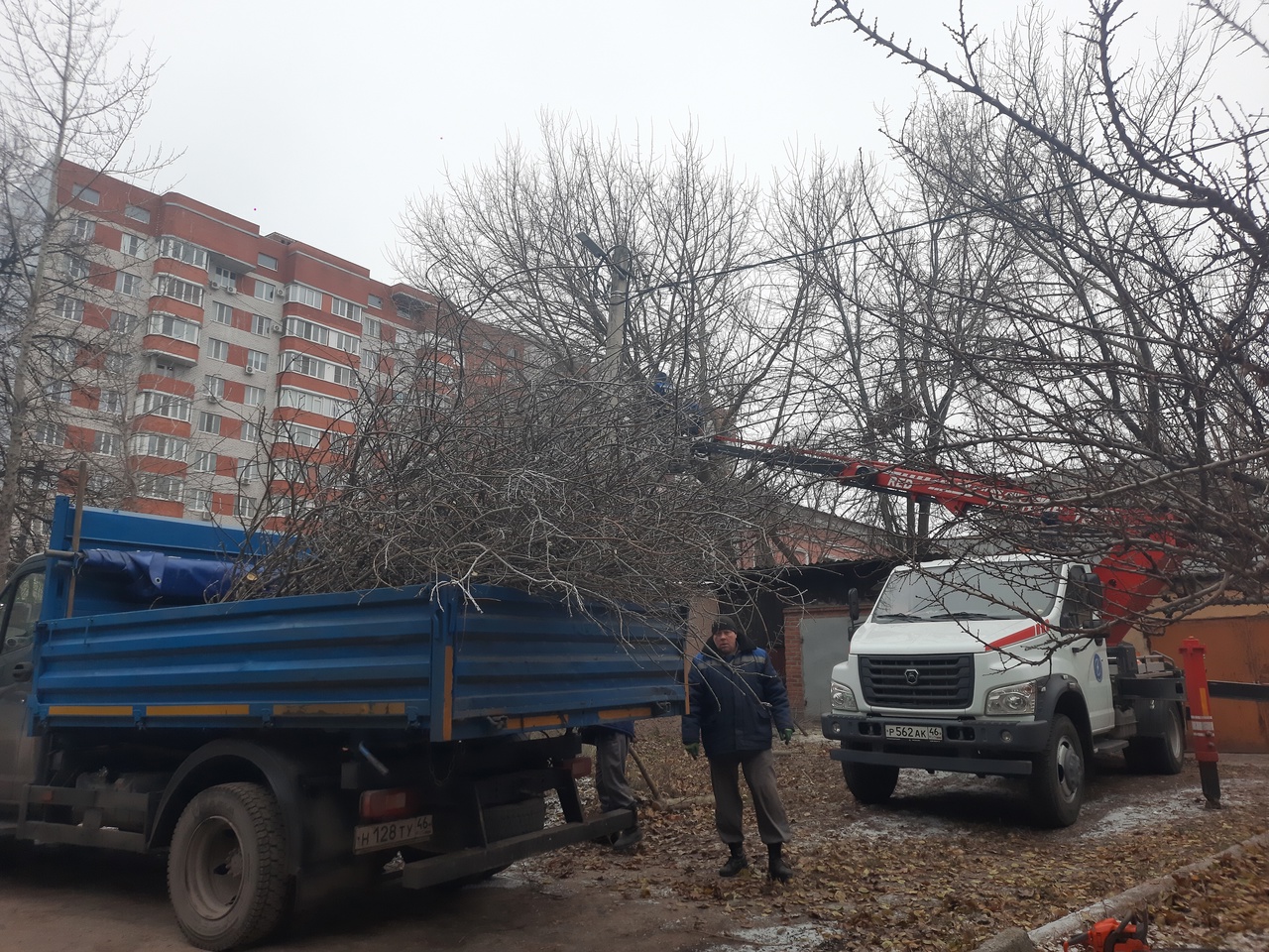 В Курске планируется проведение масштабного месячника по благоустройству