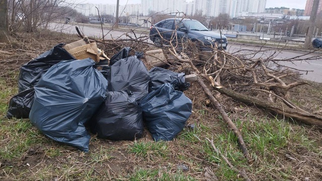 В Курске проходит масштабный субботник