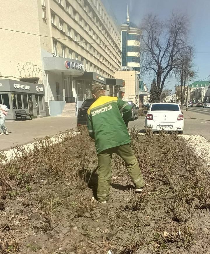 В Курске планируют высадить более 180 тысяч цветов