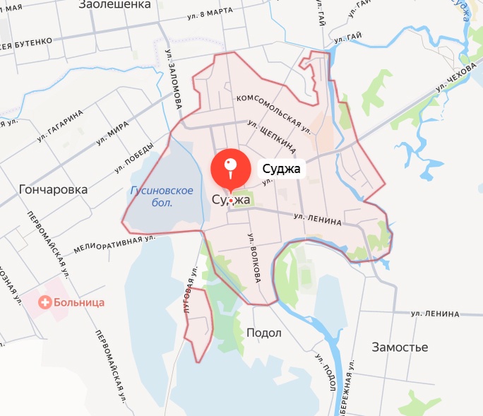 Курянин подорвался на мине под Суджей, куда приехал «посмотреть на город»