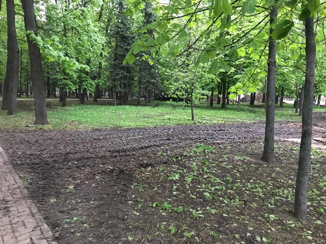 Курянам покажут кино под открытым небом