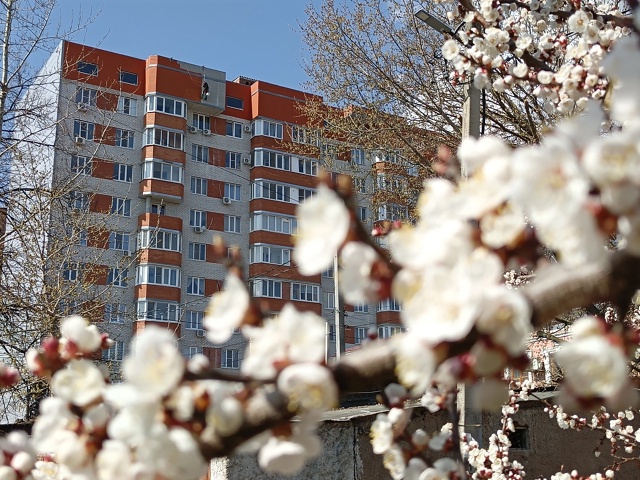 В Курской области оштрафовали управляющую компанию