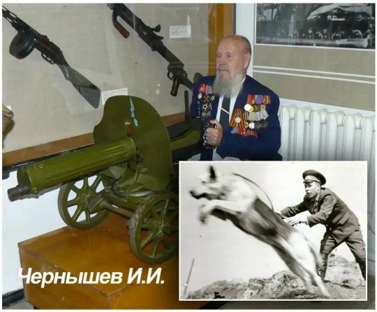 В полиции рассказали о ветеранах, которые участвовали в Курской битве